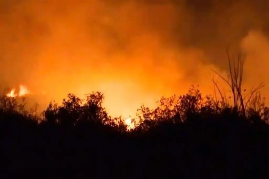 Se conformó el Comité de Emergencia Ambiental para prevenir los incendios en las islas