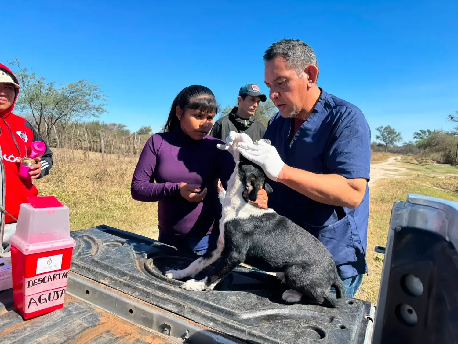 Ingeniero Juárez: más de 400 mascotas fueron vacunadas contra la rabia