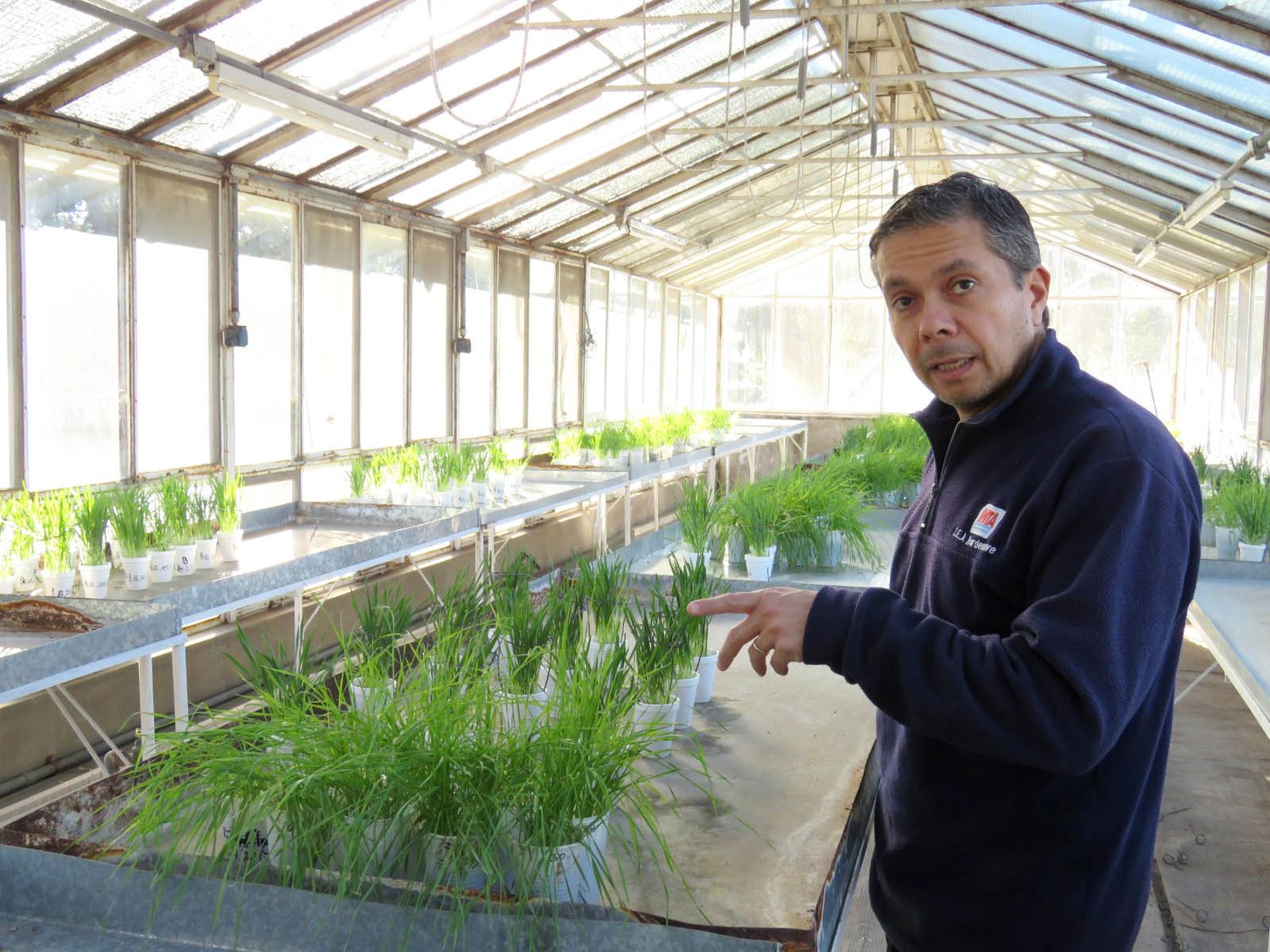 Pablo Campos, el señor de las royas