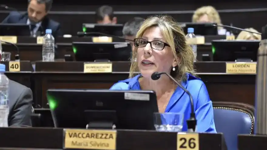 Silvina Vaccarezza arremetió contra Milei.