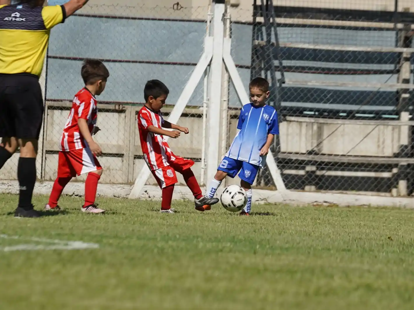 Baby Fútbol: se confirmó el fixture de la séptima fecha