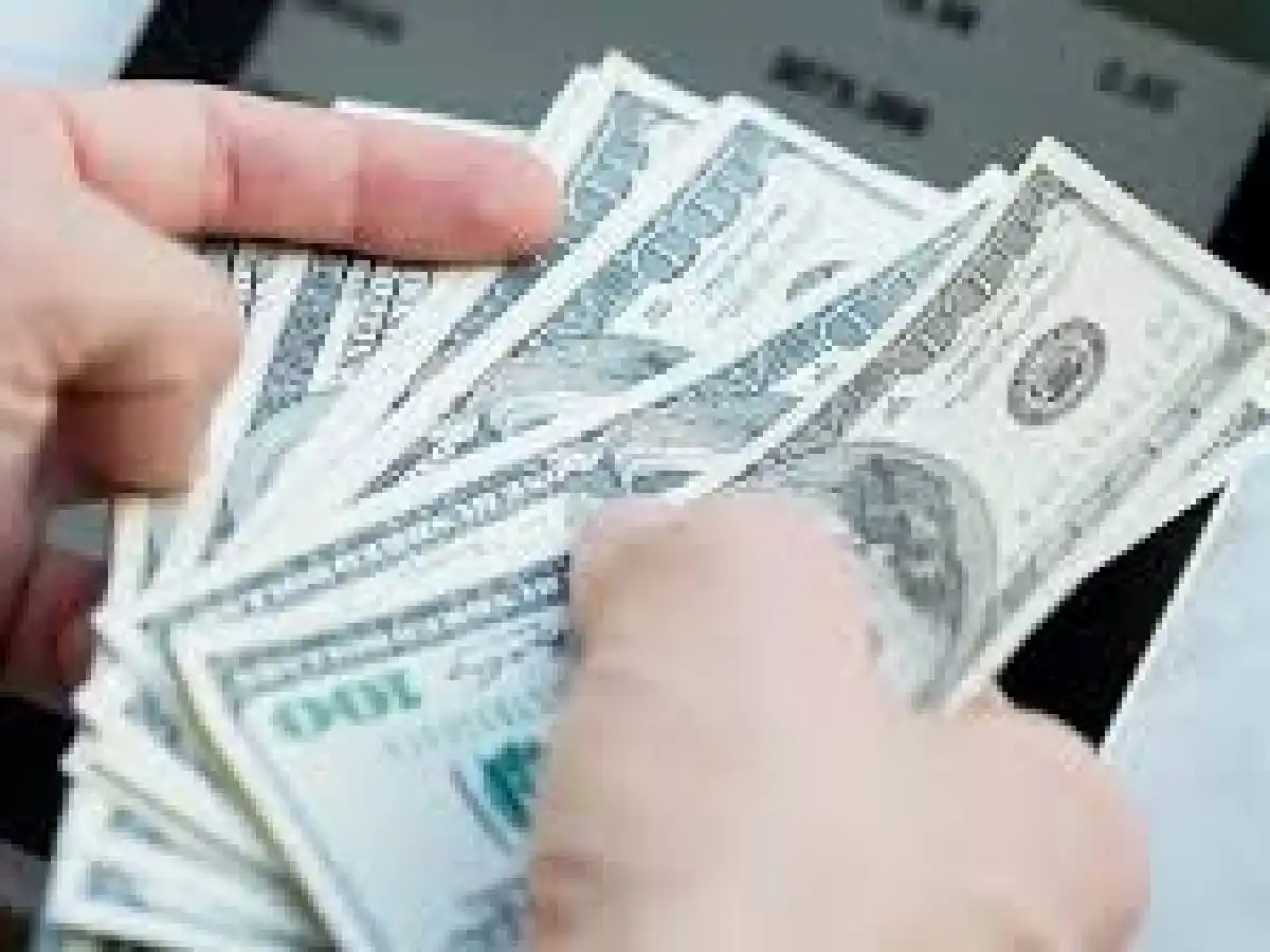 El dólar frenó su disparada y cerró a $44,65