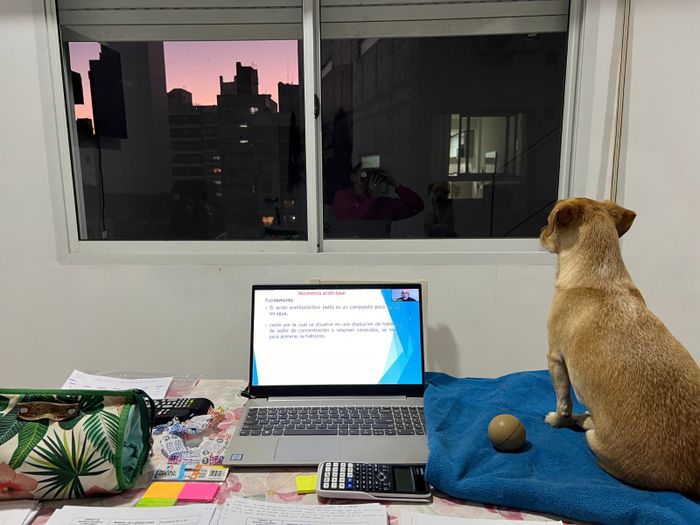 Tino, la mascota de Agustina Noat