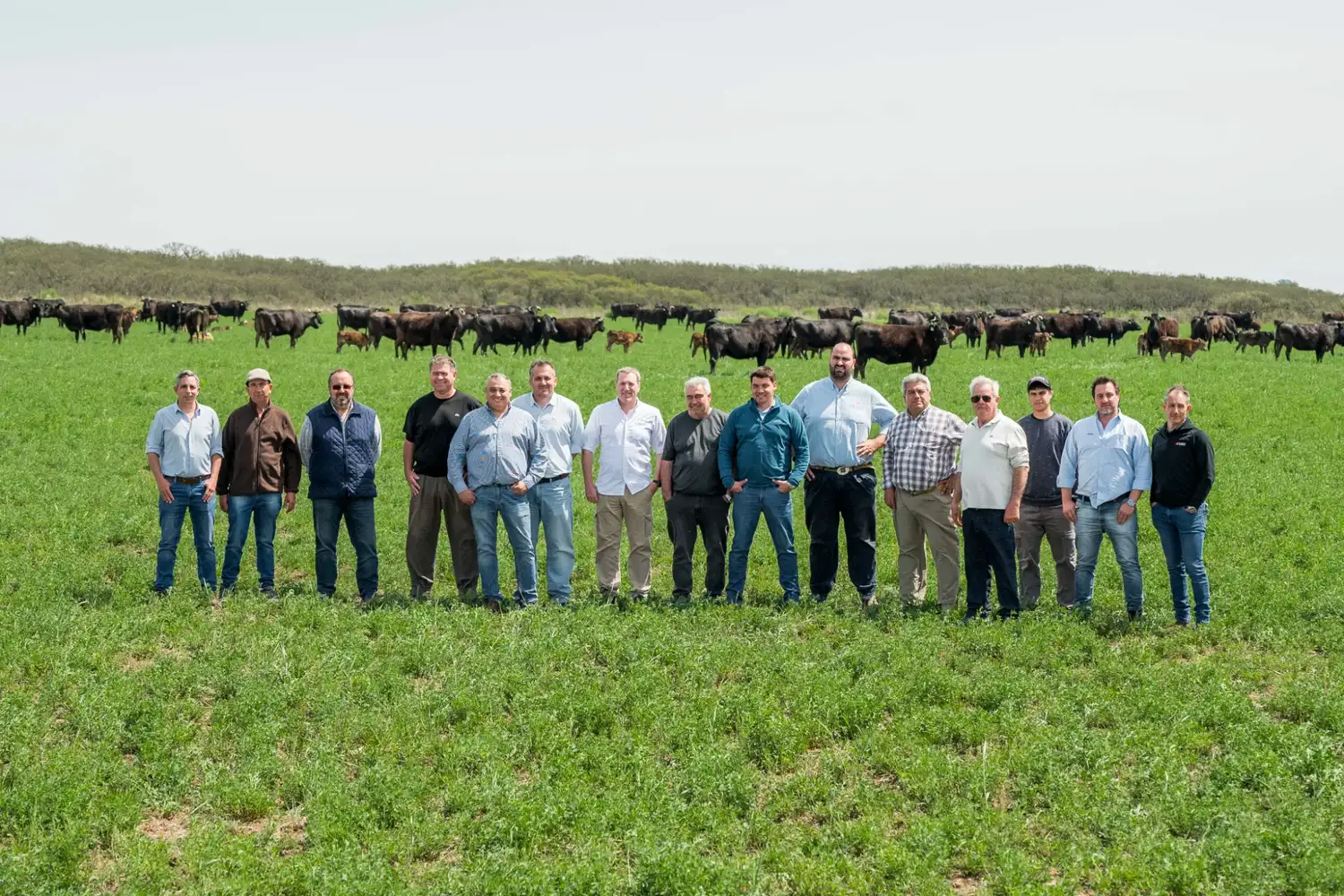 wagyu remate - 4