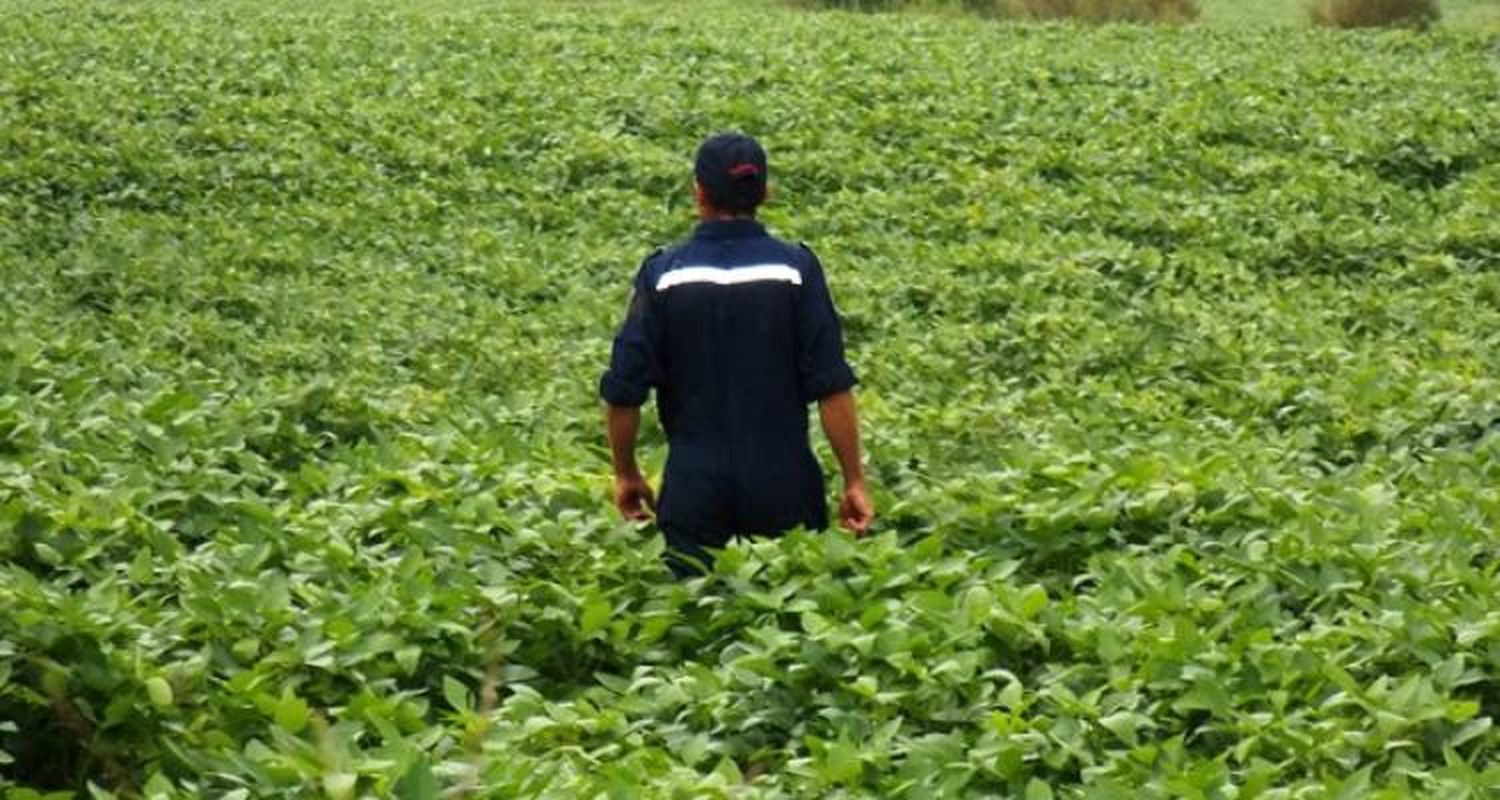 Caso Nicolás Castillo: Rastrillan diferentes tosqueras