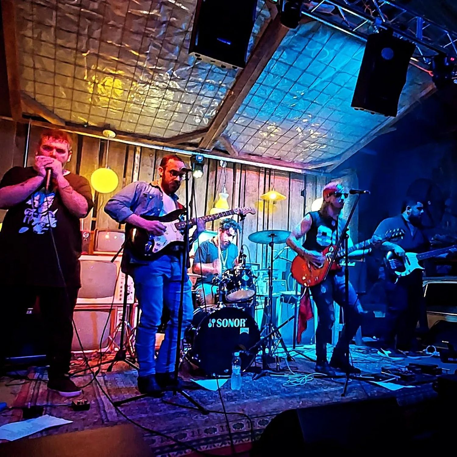 La segunda edición de Blues en la Isla tendrá siete shows, entre ellos los de Wayra Iglesias y Ricardo Tapia