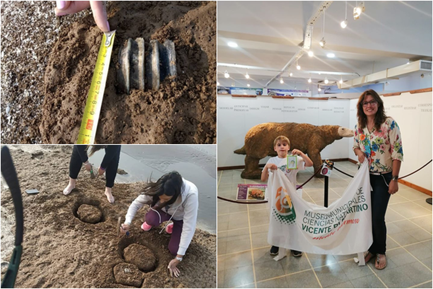 Monte Hermoso: Una familia de turistas encontró restos fósiles de entre 10.000 y 25.000 años