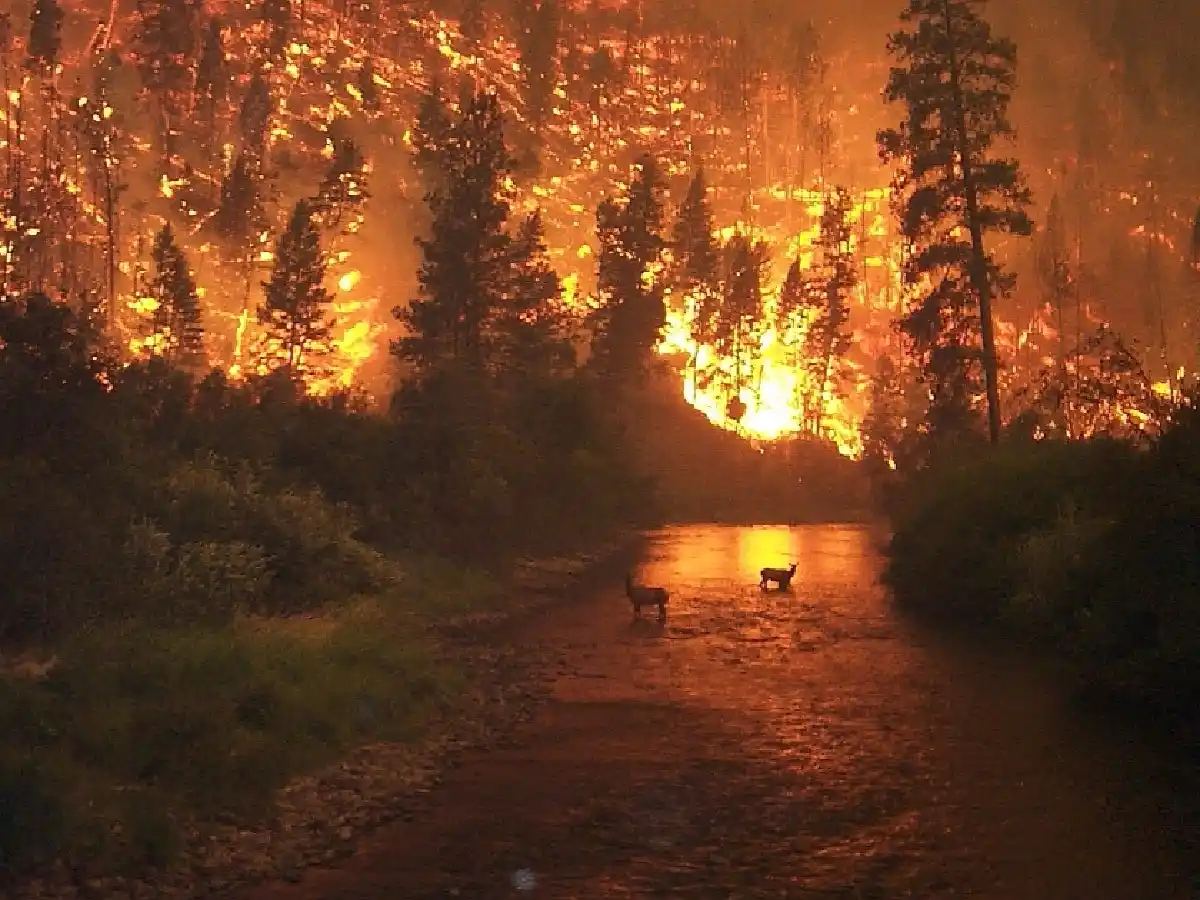 Crearon el Observatorio Nacional del Cambio Climático, con sede en Córdoba