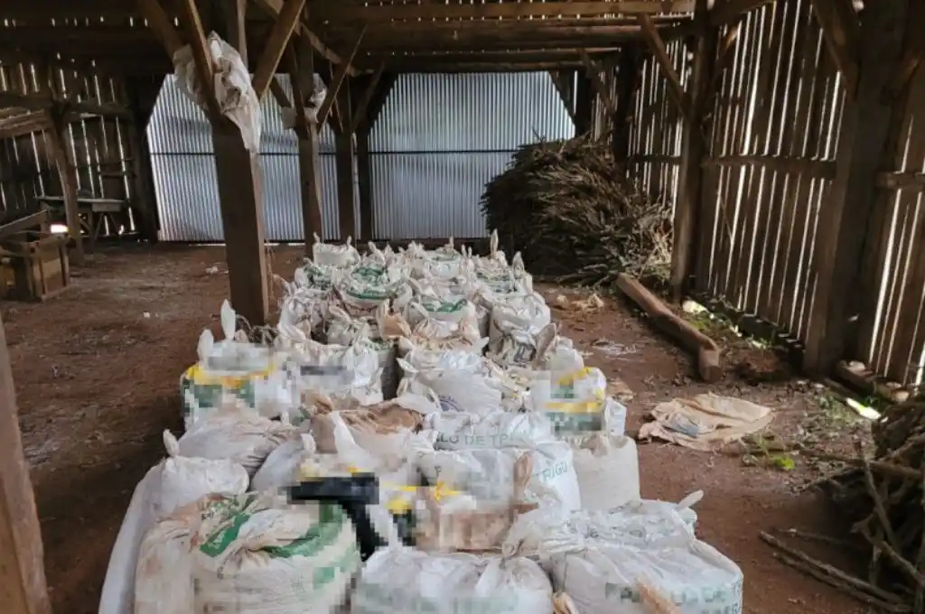 Golpe al contrabando de granos: allanamientos en Misiones, Chaco y Santa Fe