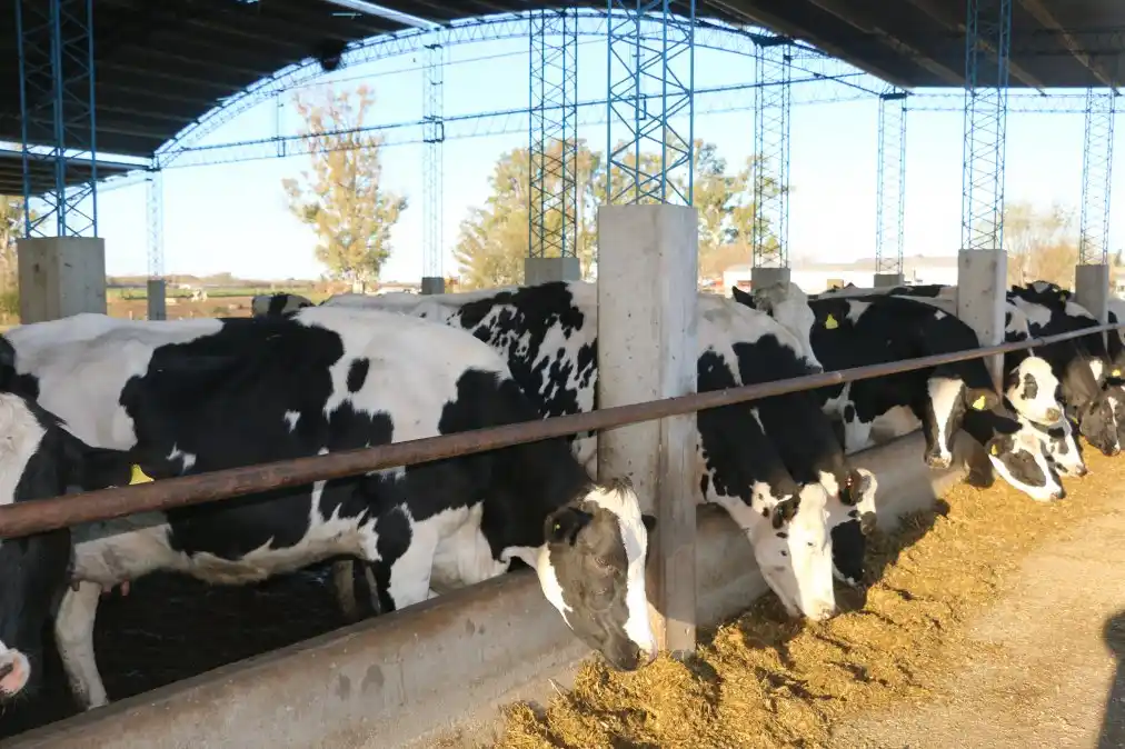 Sergio Brunz y familia apostaron a trabajar por el sistema de confinamiento.jpg