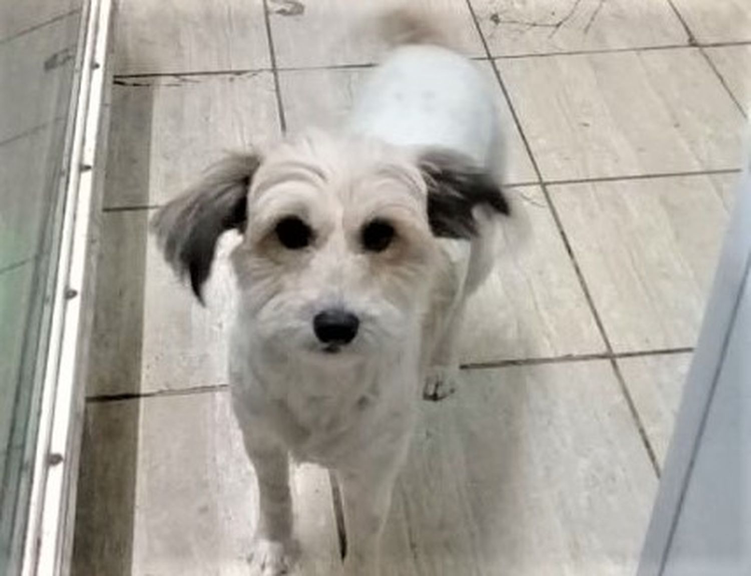Monona ya está en su casa