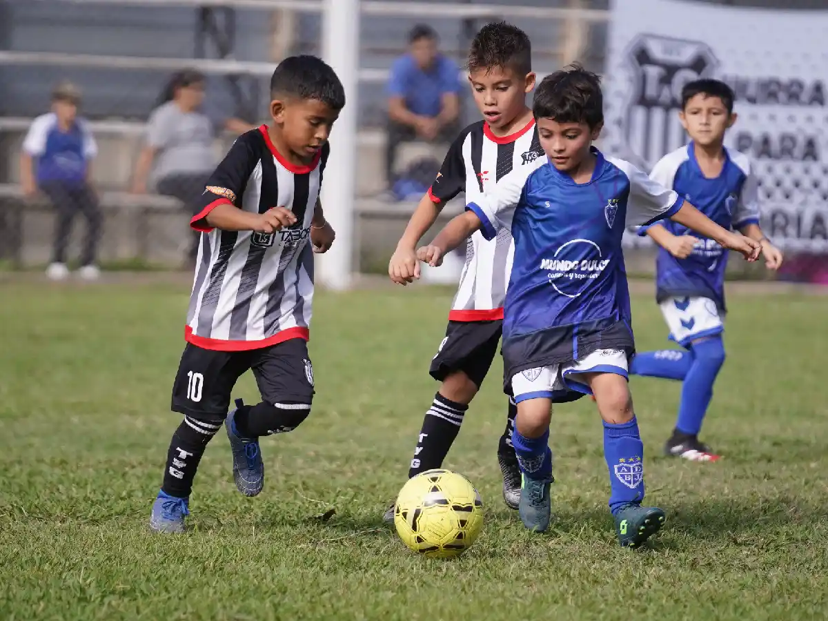 Siguió el Torneo Apertura