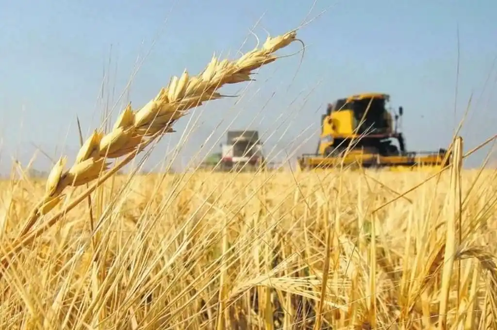 Rechazan el fideicomiso para trigo y maíz que impulsa el Gobierno