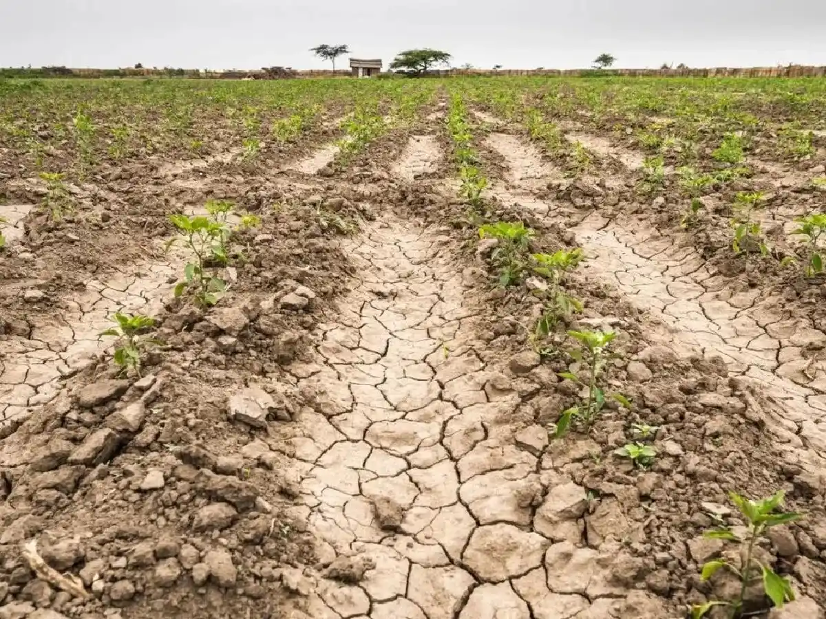 El campo aguarda por una “lluvia  esperanzadora” en San Justo