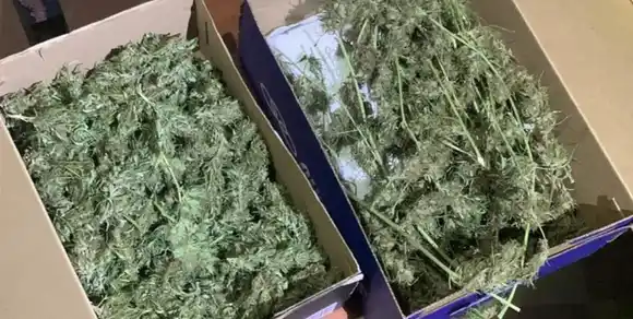 Esta semana comienza el primer juicio por microtráfico en la historia de Venado Tuerto