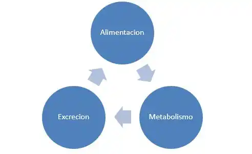 “Actividad Física, Deporte y Salud”