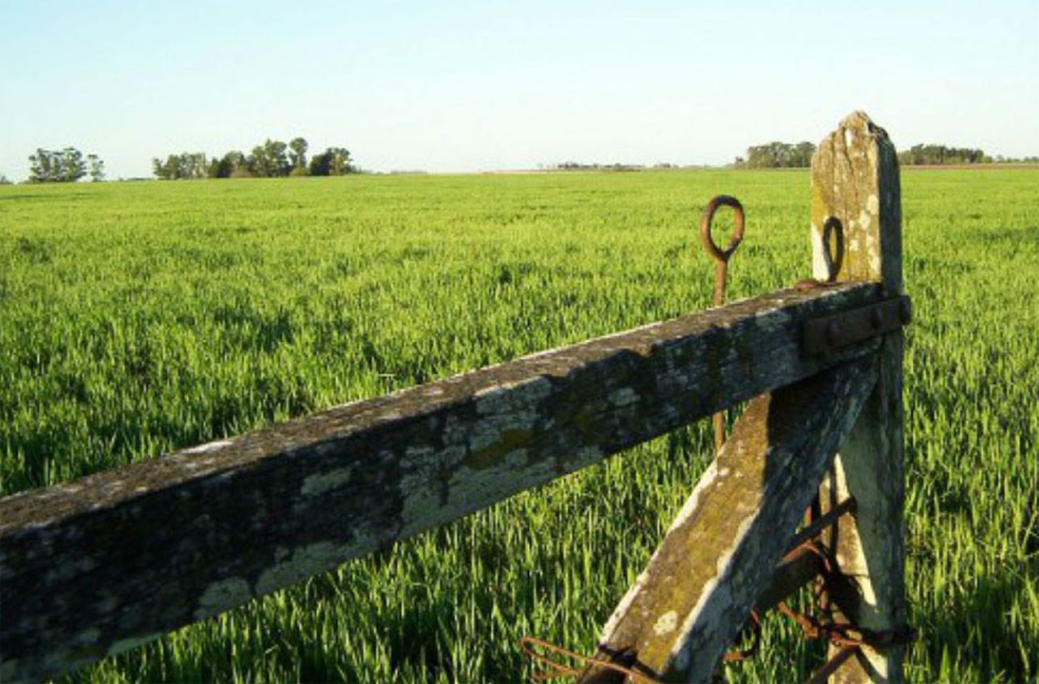 Productores frutihortícolas denuncian abandono total en seguridad