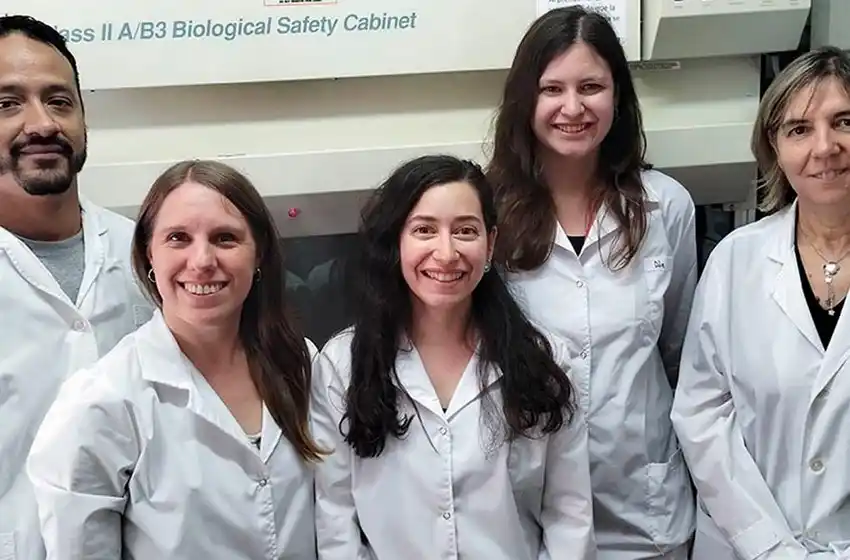 Investigadores del Conicet logran avances en el tratamiento del síndrome urémico hemolítico