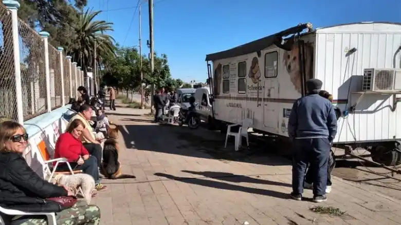 Se viene una nueva jornada gratuita de castración masiva de mascotas