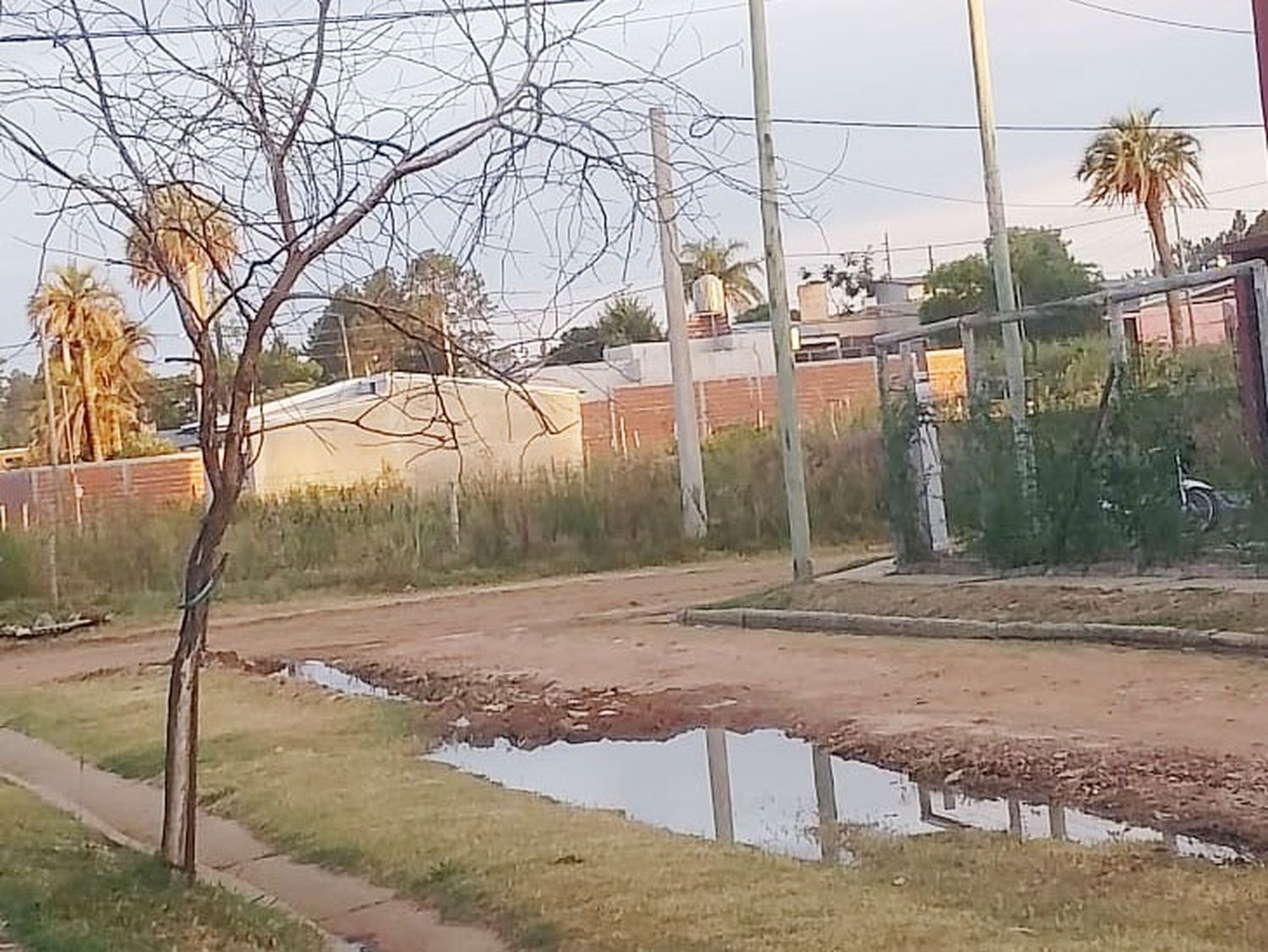 Vecinos de calle Mega sufren por cloacas reventadas y falta de mantenimiento