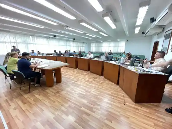 EN VIVO | Reunión en el Concejo: los ediles debaten un proyecto de LLA para reducir su sueldo