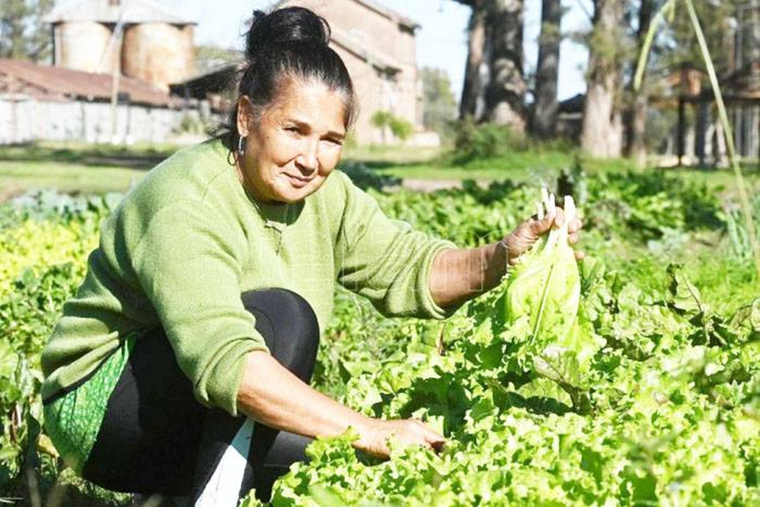 Mujeres del agro solo acceden  a un 18 % de su propio patrimonio