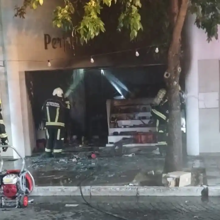 Las llamas causaron daños totales en el comercio (Fotos: Bomberos)