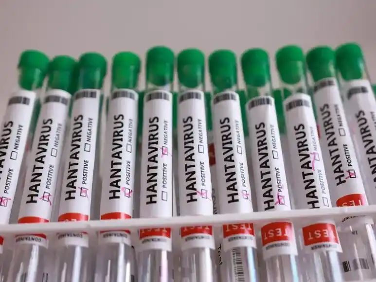 hantavirus