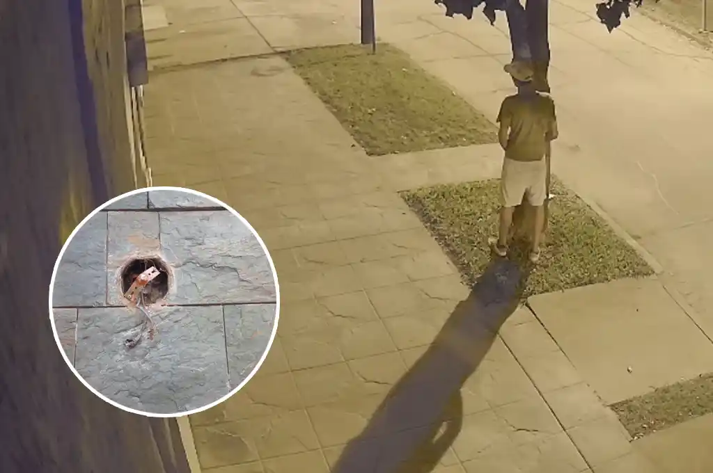 VIDEO | "Hay olor a pis": orinó en un árbol y robó un aplique de luz de una casa