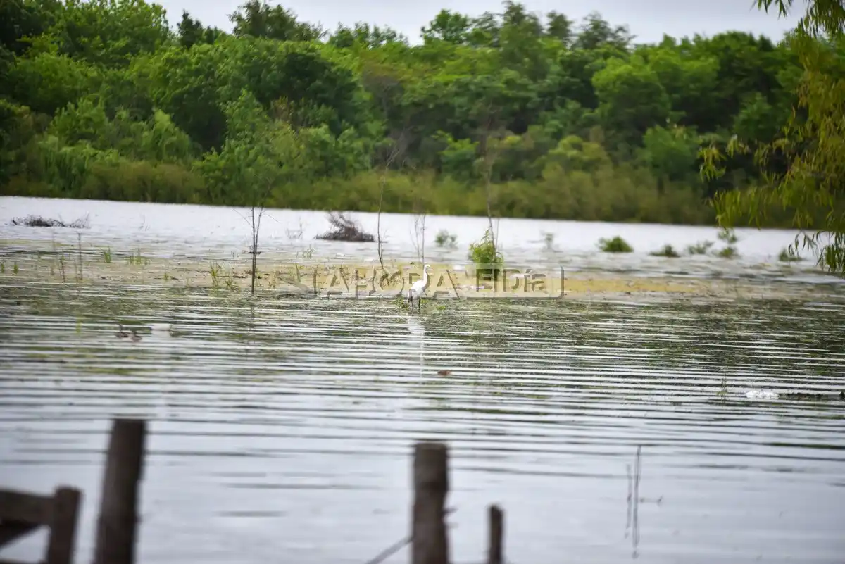 Intensas lluvias en todo Entre Ríos: La Provincia asiste a familias