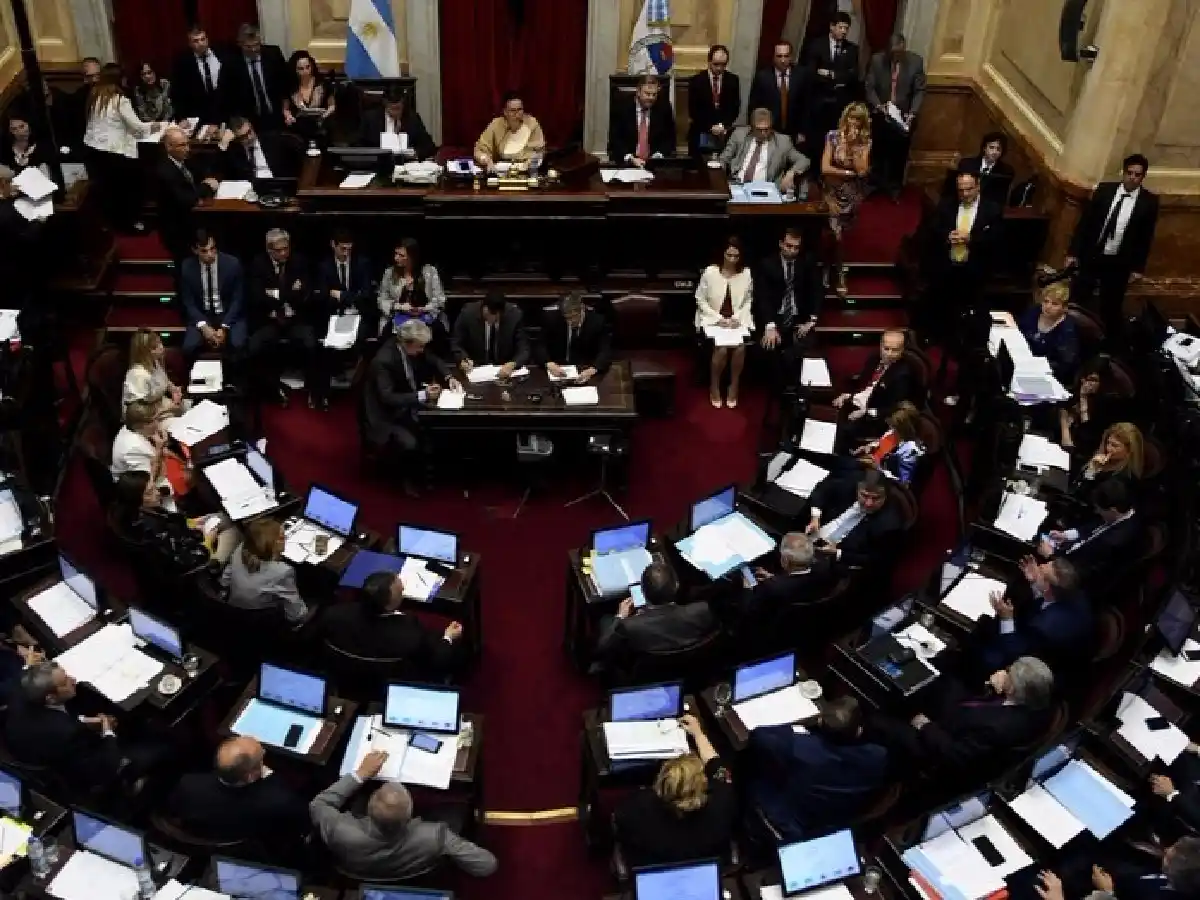 Aborto: senadores proponen un proyecto alternativo para introducir reformas