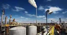 Aumentar el corte con biodiésel para estimular a la soja
