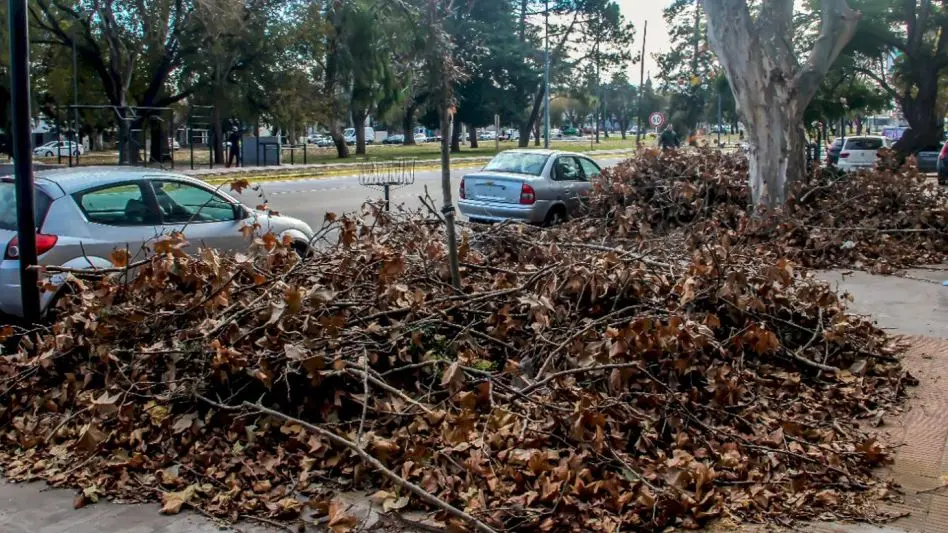 Basural a cielo abierto en Magallanes y Olazar: vecinas denuncian abandono