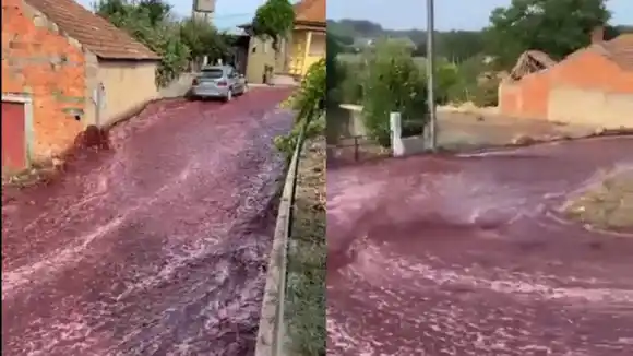 IMPRESIONANTE derrame de más de 2 millones de litros de vino en Portugal (+Video)