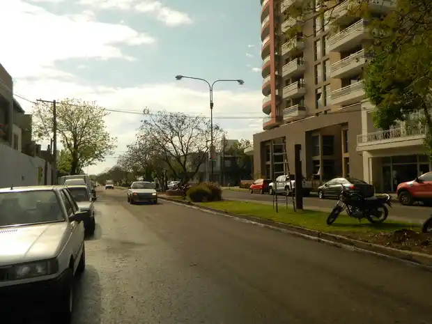 Instalaron cuarenta luminarias sobre la Avenida Luis N. Palma