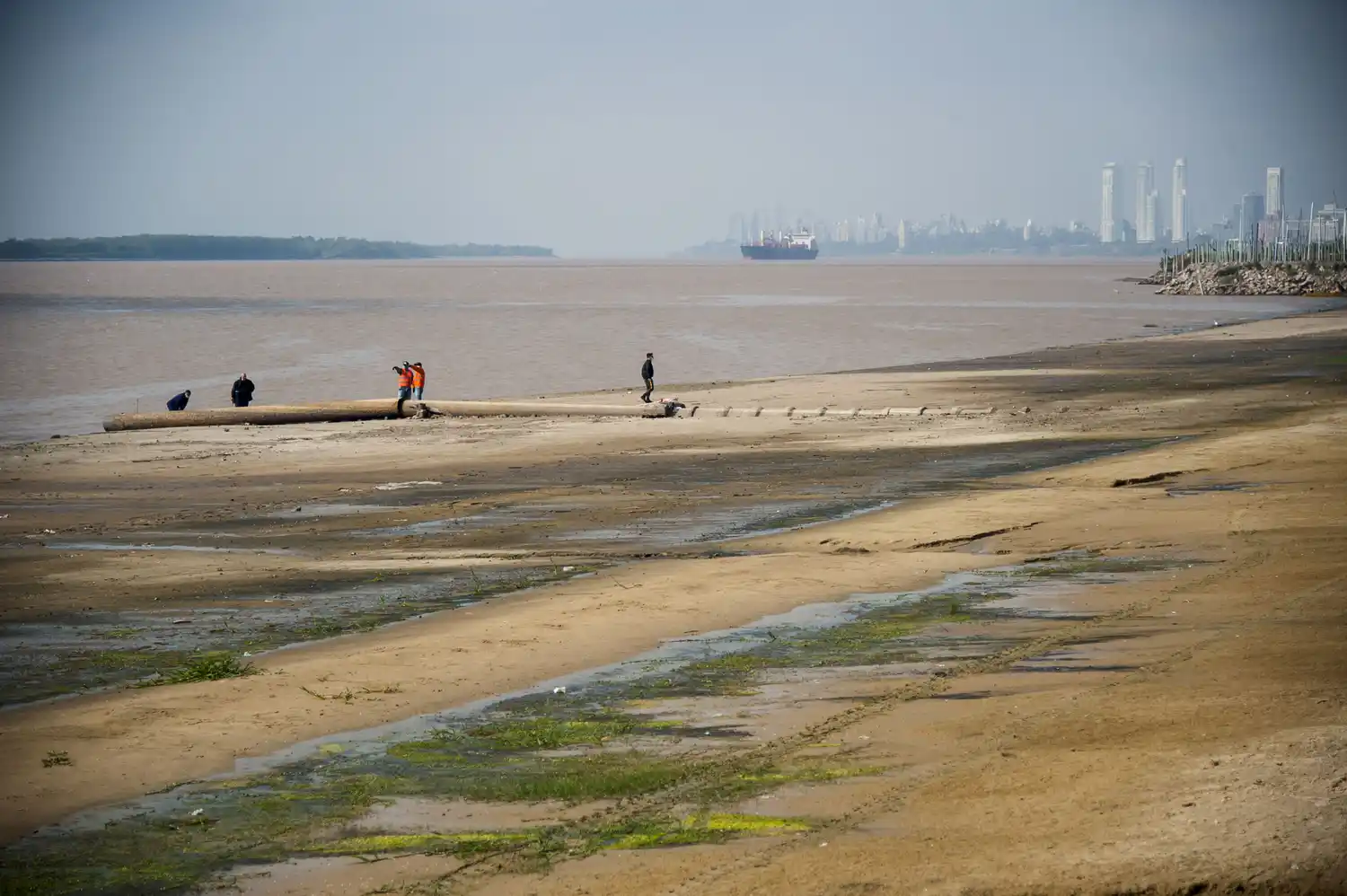 Bajante del Paraná: las cargas de granos cayeron a pisos históricos y piden un dragado más intenso