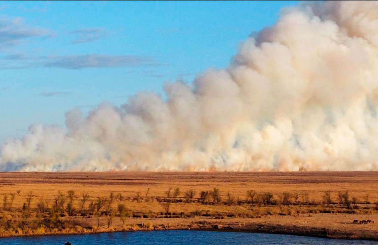 Incendios en las islas: el viceministro de Ambiente insistió en la intencionalidad y dijo que hay más de 1 millón de hectáreas afectadas