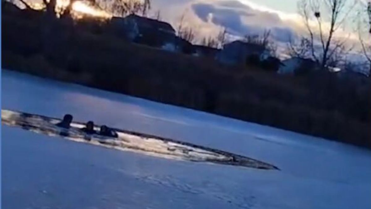 HÉROES SIN CAPAS: venezolanos salvan de la muerte a niñas que cayeron a un lago congelado en EE.UU.