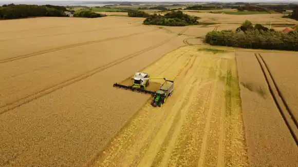 ARBA prorrogó el vencimiento del Inmobiliario Rural hasta el 18 de diciembre y mantiene el 10% de descuento