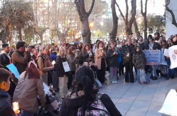 Ley de Emergencia en Discapacidad: “Pedimos a los diputados que estén a la altura"