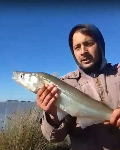 Un gran pejerrey pescado de costa en La Salada