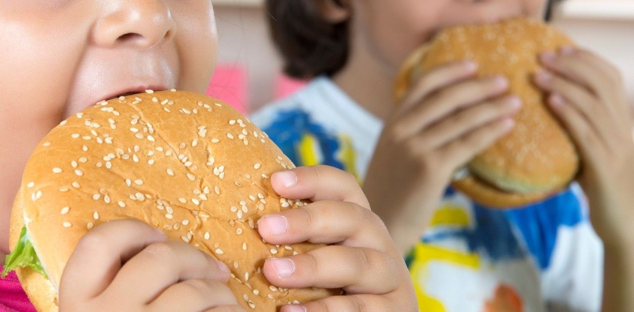 Mar del Plata: Advierten que el 61% de los niños de entre 6 a 14 años tiene exceso de peso