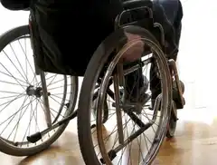 Científicos descubren cuál es el virus que podría ser la principal causa de ELA