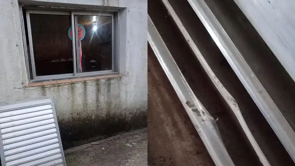 Violentaron aberturas de las ventanas y robaron elementos de un negocio en Santa Clara de Saguier
