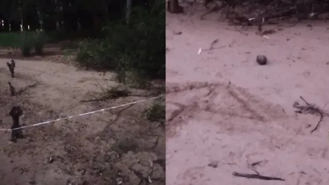 Encontraron una granada en una playa de Concordia