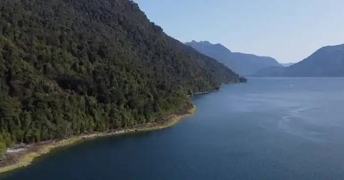 Un paraíso de biodiversidad en la costa chilena  que aún falta terminar de descubrir