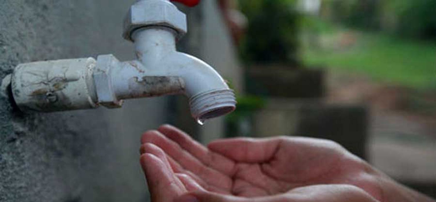 Preocupa la falta de agua en el Bosque Peralta Ramos