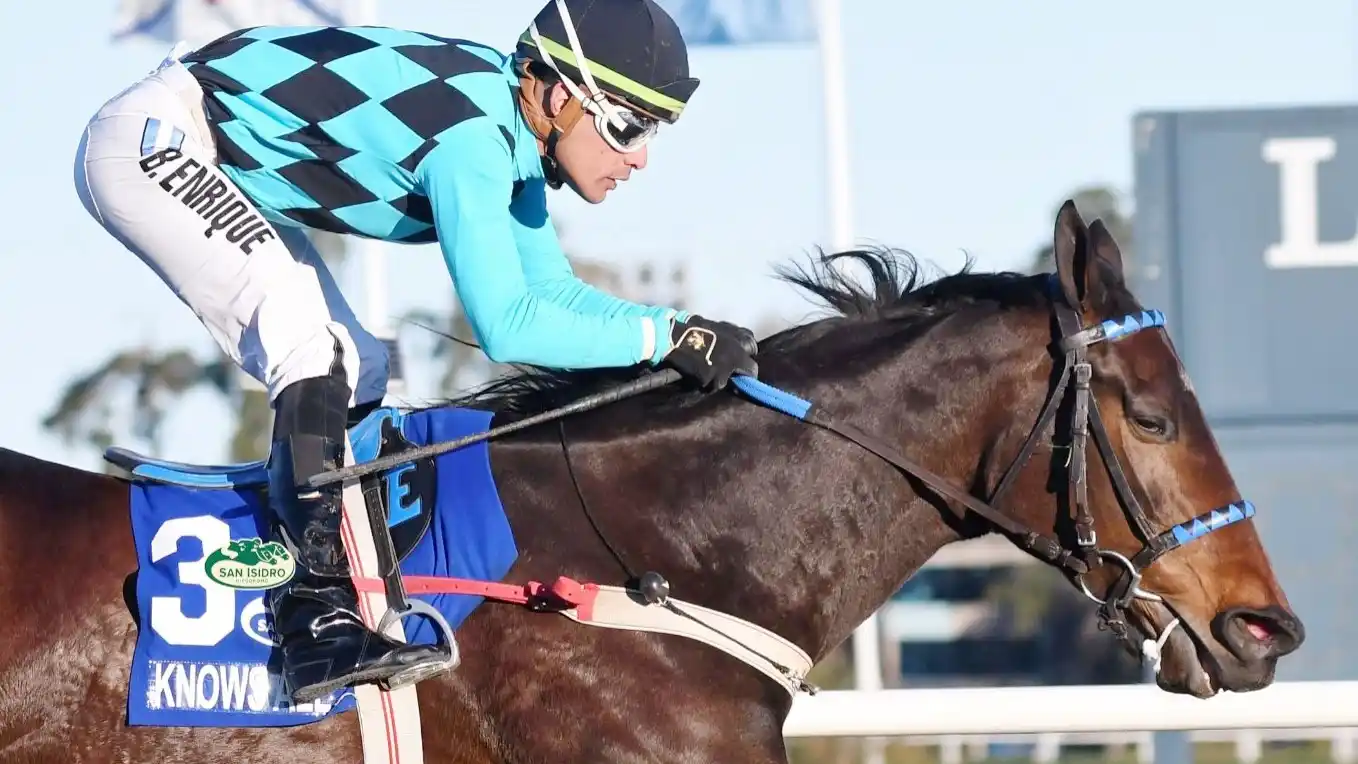 Knows All va por el Clásico Los Haras (G2) en San Isidro.