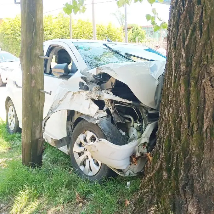 Un automóvil despistó e impactó contra un árbol