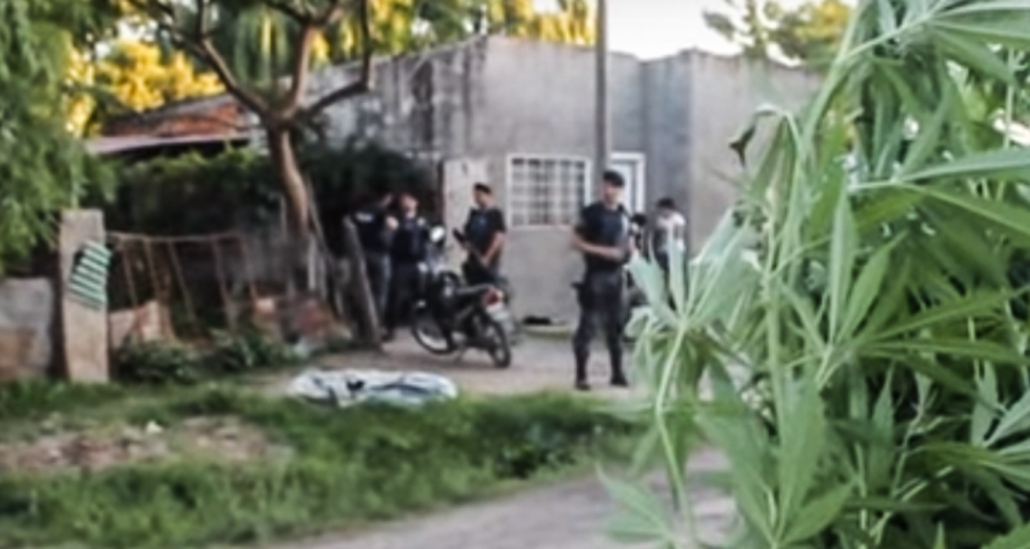 Buscaban armas y encontraron marihuana